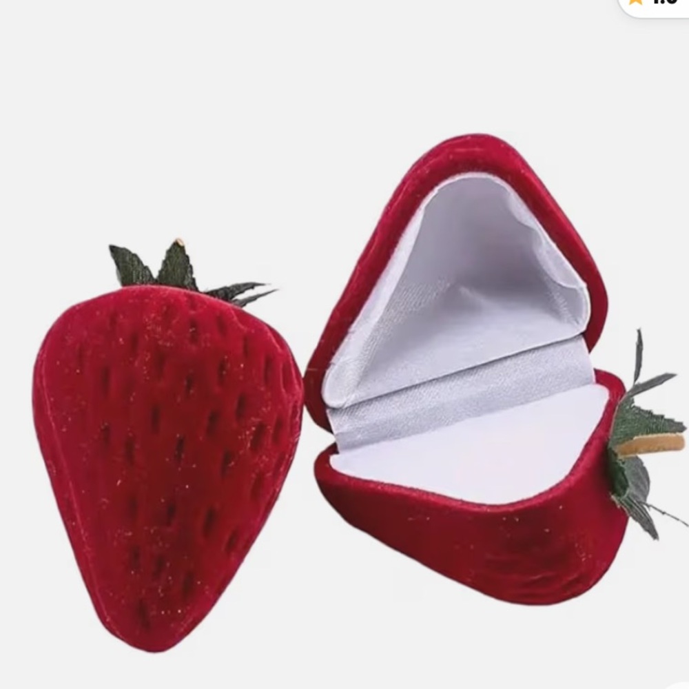 NWT No Label Red Strawberry Jewelry Storage Case